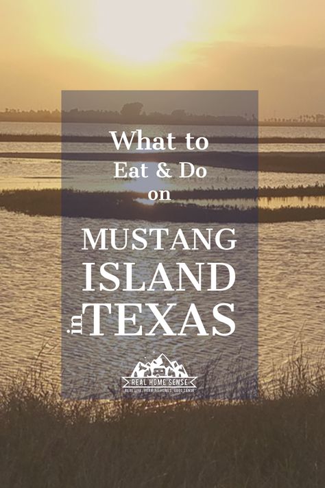 Mustang Island State Park, Port Aransas Texas Beach, Mustang Island Texas, Texas Beach Vacation, Camping Texas, Texas Places To Visit, Texas Travel Weekend Getaways, Vacation Places In Usa, Port Aransas Beach