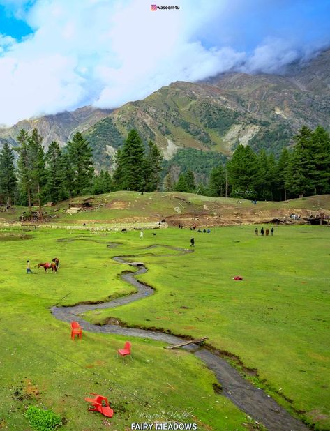 Lush green meadows of Fairyland, facing Nanga parbat, Gilgit Baltistan, Pakistan Nanga Parbat, Gilgit Baltistan, Best Background Images, Fairy Land, Lush Green, Background Images, Lush, Golf Courses, Pakistan