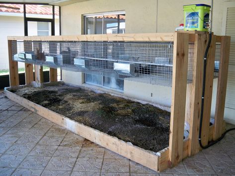 My current 10 hole rabbit setup Rabbit Sanctuary, Rabbit Setup, Rabbit Cages Outdoor, Rabbit Hutch Plans, Raising Rabbits For Meat, Diy Rabbit Hutch, Show Rabbits, Rabbit Pen, Rabbit Enclosure