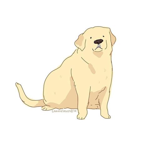 sammy savos on Instagram: “this is a fat dog i drew a while ago at work while i was trying out a new tablet :') #dog #dogs #puppy #puppies #lab #labs #yellowlab…” Yellow Things Drawing, Lab Drawing Reference, Cute Labrador Drawing, Person With Dog Reference, Hamotzi Dog, Labrador Puppy Drawing, Labrador Drawing Cartoon, Yellow Lab Drawing, Drawing Labrador