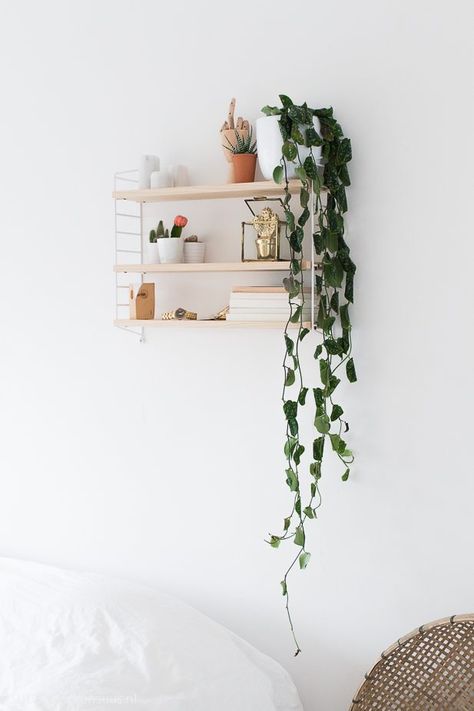 String Pocket Shelf, Shelf Styling Living Room, Styling Living Room, String Shelf, String Pocket, String Furniture, Interiors Dream, Hanging Plant, Furniture Bedroom