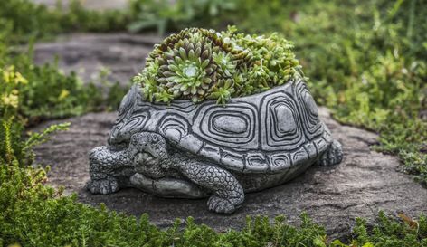 Campania International, Inc Turtle Cast Stone Statue Planter | Wayfair.ca Turtle Planter, Grow A Garden, Campania International, Bunny Statue, Garden Display, Small Turtles, Greek Statues, Animal Planters, Stone Planters