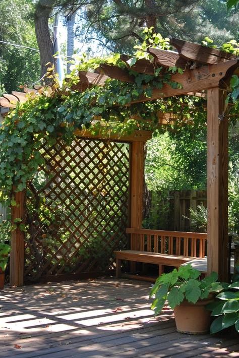 40 Privacy Fence Ideas: Stylish Solutions for a Backyard Retreat Cheap Diy Fence, Diy Fence Ideas, Best Trees For Privacy, Privacy Fence Ideas, Farmhouse Backyard, Backyard Gates, Fence Designs, Privacy Fence Designs, Small Patio Garden