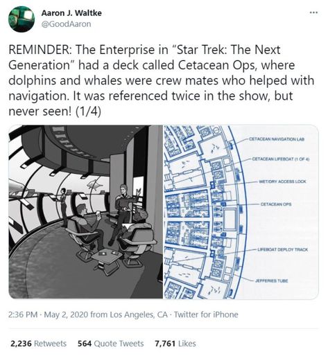 Whales/Dolphins Aboard the Enterprise in Star Trek: TNG - Media Chomp Uss Enterprise D, Uss Enterprise Ncc 1701, Star Trek Tng, Enterprise Ncc 1701, Star Trek Enterprise, Uss Enterprise, Comics Memes, Whales, Tweet Quotes