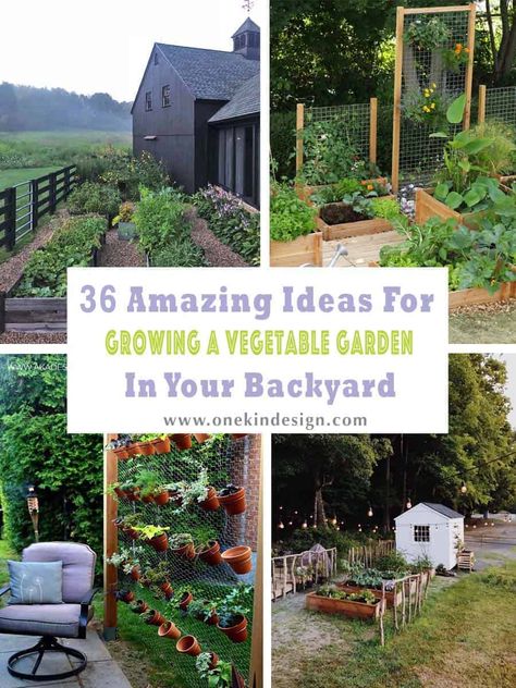 36 Amazing Ideas For Growing A Vegetable Garden In Your Backyard Small Vegetable Gardens, Potager Garden, Backyard Vegetable Gardens, Garden Design Layout, Garden Wallpaper, Veg Garden, Large Backyard, Landscape Designs, Inspire Me Home Decor