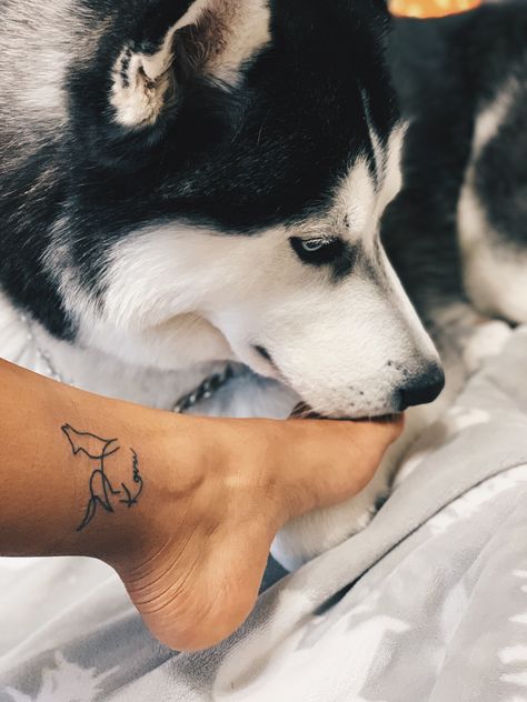 Fine Line Husky Tattoo, Husky Tatoos, Husky Ear Tattoo, Husky Ears Tattoo, Malamute Tattoo, Small Husky Tattoo, Line Wolf Tattoo, Husky Tattoo Siberian, Husky Tattoo Simple