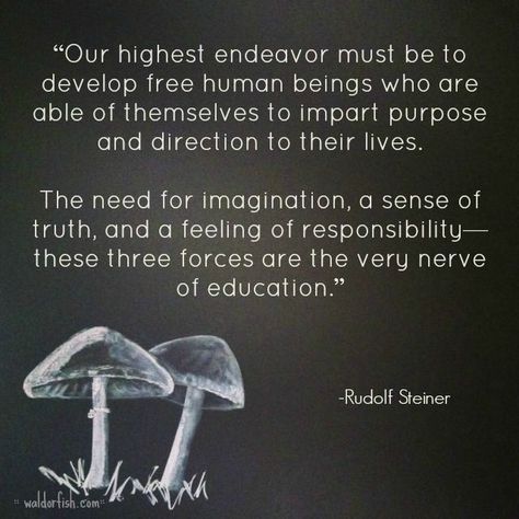 Steiner quote regarding education - #waldorf Steiner Quotes, Steiner Waldorf Education, Waldorf Preschool, Middle School Writing, Waldorf School, Waldorf Education, Homeschool Inspiration, Rudolf Steiner, Quotes Of The Day