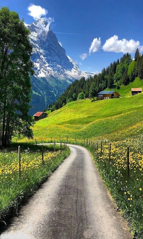 Beautiful Angels, Angels Pictures, Dirt Road, Beautiful Scenery Nature, Alam Yang Indah, Country Road, Mountain Landscape, Driveway, Amazing Nature