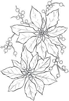 Fruit Coloring Pages, Graphics Fairy, Poinsettia Flower, Embroidery Flowers Pattern, Christmas Flowers, Flower Coloring Pages, Outline Drawings, Christmas Coloring Pages, Christmas Paintings