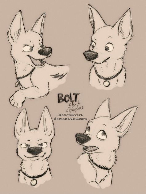 Cartoon Dogs Character Design, Bolt Disney, Dog Design Art, 동화 삽화, Dog Sketch, 강아지 그림, Disney Dogs, Disney Sketches, Disney Animals