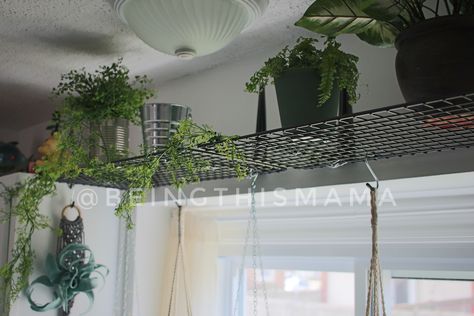 DIY plant shelf using the Ikea GREJIG shoe rack Ikea Grejig Hack, Grejig Ikea Hack, Plant Shelf Diy, Shoe Rack Hacks, Diy Plant Shelf, Diy Garden Planters, Garden Planters Ideas, Wooden Gazebo Kits, Shoe Rack Diy