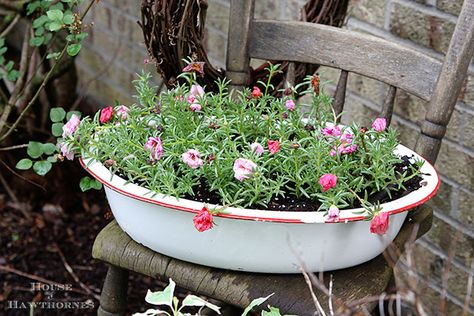 Vintage Flowers From Your Grandma's Garden Grandma's Garden, Vintage Containers, Garden Junk, Grandmas Garden, Garden Drawing, Vintage Garden Decor, Garden Containers, Container Flowers, Garden Cottage