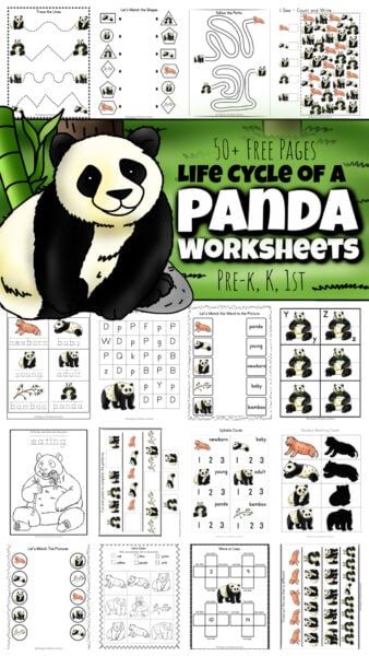 Thank You Mr Panda Activities, Panda Bear Activities Preschool, Panda Preschool Activities, Panda Bear Panda Bear What Do You See, Free Panda Printables, Panda Activities Preschool, Panda Bear Activities, Panda Crafts Preschool, Panda Crafts For Kids