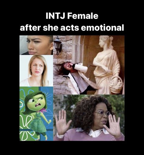 Intj Things, Istp Entj, Intj Characters, Intj Humor, Intj Female, Personality Archetypes, Intj Enfp, Infj Estp, Intj Women