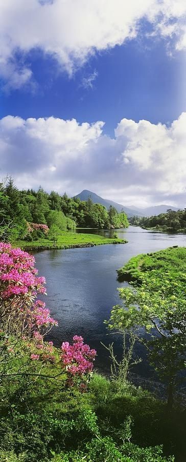 Irish Images, Mountain Flowers, County Galway, Pink Sea, Galway Ireland, Republic Of Ireland, Ireland Scotland, Emerald Isle, North Coast