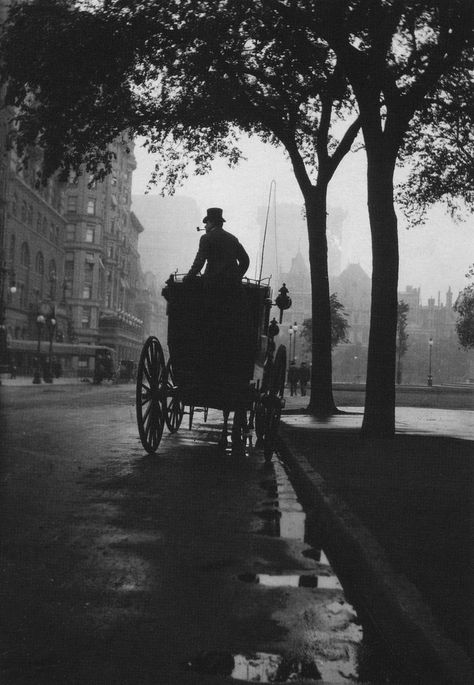 Horse Drawn, Vintage New York, Foto Art, White Photo, Vintage Pictures, Vintage Photographs, A Horse, Westminster, Historical Photos