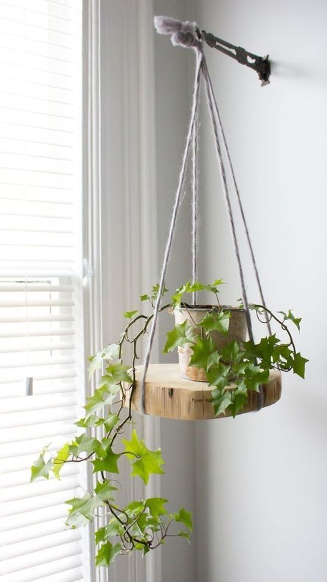 Diy Hanging Shelves, Plant Hanging, William Wordsworth, Natural Homes, Garden Fun, Hanging Plants Indoor, Dekor Diy, Air Purifying, Plant Decor Indoor