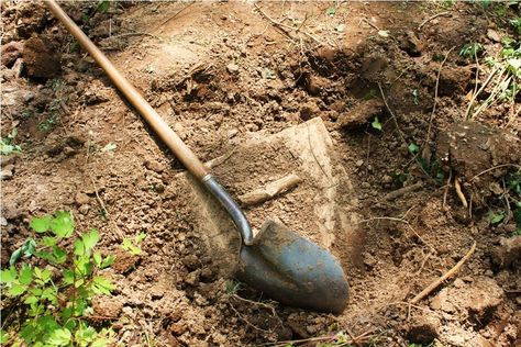 YOU ARE THE TREASURE! (The Parable of the Treasure in the Field) Cocos Island, Dug Up, Buried Treasure, Hidden Treasures, Backyard Design, God Is Good, Shovel, New Mexico, Garden Tools