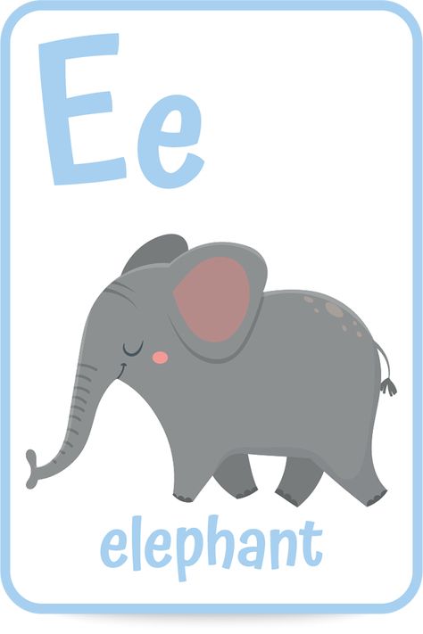 Letter E Flashcards, E Alphabet, Animals List, E Is For, Letter E Activities For Preschool, E Letter, Letter E Activities, Letter A Words, Letter E Craft