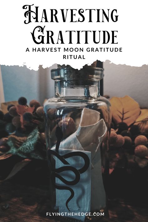 Harvesting Gratitude: Harvest Moon Gratitude Ritual Gratitude Ritual, The Winds Of Winter, Next Full Moon, Gratitude Jar, Attracting Abundance, Being Grateful, Full Moon Ritual, Witchcraft For Beginners, Express Gratitude