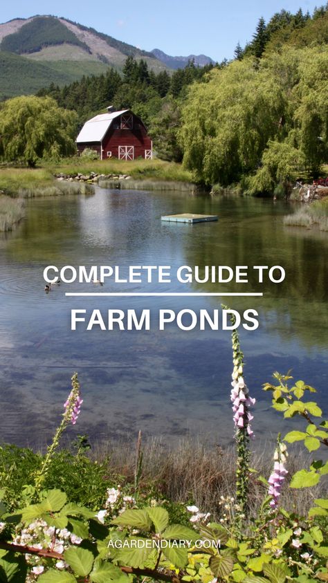 Elevate your farming operation with our definitive guide to farm ponds. Explore the benefits of a well-designed pond, from irrigation and livestock hydration to habitat creation and aesthetic appeal. Our guide walks you through each step, offering expert tips on construction, maintenance, and ecological balance. Transform your farm into a thriving ecosystem with our comprehensive resource on farm ponds. Start your journey to a more efficient and beautiful farm today! Pond Overflow Ideas, How To Make A Pond, Large Pond Ideas, Farm Pond Ideas, Farm Pond Landscaping, Homestead Pond, Natural Pond Ideas, Permaculture Pond, Forest Landscape Design