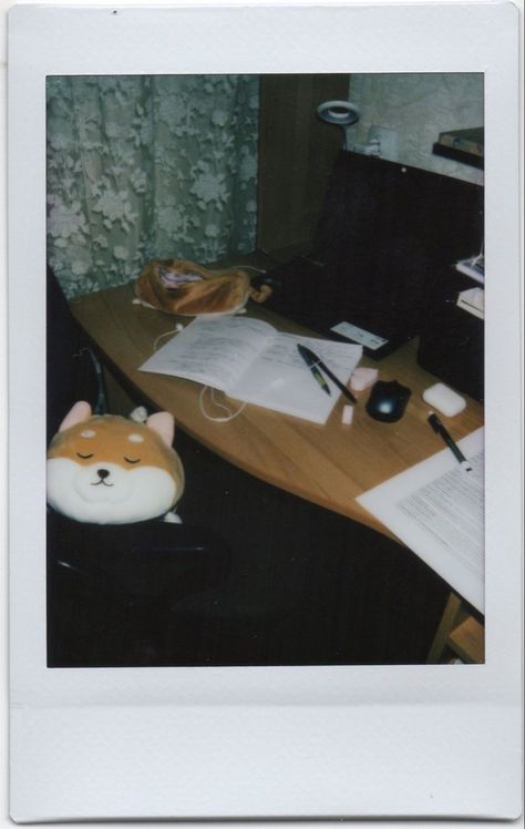 Frat Party Aesthetic, Studying Girl, Photography Polaroid, Bedroom Photography, Polaroid Photography, Color Drawing Art, Photography Help, Vintage Polaroid, Polaroid Pictures