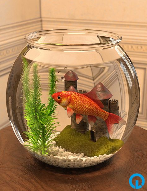 Water Centerpieces, Fish Tank Themes, Fish Tank Terrarium, Small Fish Tanks, Props Free, Fish Tank Design, Cute Bedroom Decor, Tank Design, Fish Tank Decorations