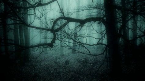 Fairy Grunge Aesthetic, Dark Forest Aesthetic, Creepy Core, Dark Fairycore, Twitter Header Pictures, Dark Green Aesthetic, Twitter Header Aesthetic, Twitter Header Photos, Cute Headers