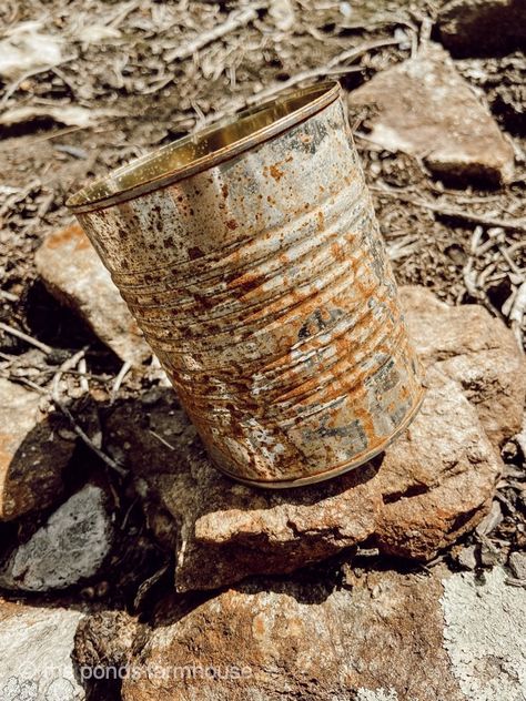 Do you like rusty, crusty vintage looking pieces? What if you have something new but want it to look old.How to Rust Metal Faster is a tutorial that will allow you to rust tin cans or any metal piece with just 3 household ingredients. You can turn a new metal piece into a vintage inspired treasure quickly.I had a couple of tin cans that I had left outside and they rusted naturally over a period of time.When I saw how cool they looked, I decided I’d like to have more rusty tin cans so I… How To Rust Galvanized Metal, How To Make Metal, Metal Trash Cans, Old Bucket, Faux Rust, Rusty Tin, Glitter Glasses, Fall Decor Inspiration, Rustic Crafts