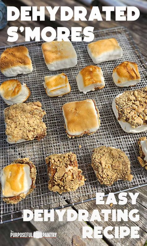 Dehydrated Roasted Marshmallow S'mores - The Purposeful Pantry Dehydrated Dessert Recipes, Dehydrated Marshmallows In Oven, Recipes Using Dehydrated Marshmallows, Dehydrated Candy Recipes, How To Freeze Dry Marshmallows, Dehydrator Candy, Dehydrated Desserts, Dehydrated Camping Meals, Dehydrated Gifts