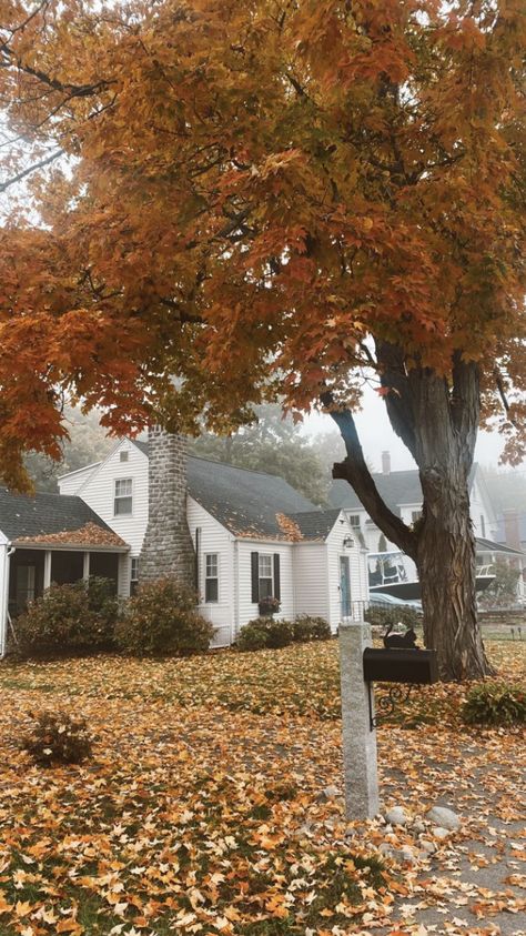 Cute Neighborhood Aesthetic, Fall Neighborhood Aesthetic, Neighborhood Aesthetic, Usa House, New England Fall, Autumn Scenery, Fall Feels, Fall Travel, Fall Pictures