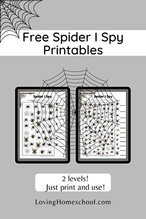 Two versions of Free Spider I Spy Printables for fun searching for Spiders. Perfect for Halloween or any time you are learning about spiders! School Halloween, Card Files, I Spy, Kids Writing, Halloween Recipes, Dry Erase Markers, Dry Erase, After School, Spiders