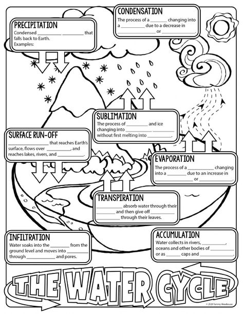 Water Cycle Worksheet Pdf the Water Cycle Notes Interactive Worksheet Water Cycle Worksheet, Fun Worksheet, Earth Science Lessons, Kids Worksheet, The Water Cycle, 4th Grade Science, 6th Grade Science, Homeschool Education, 5th Grade Science