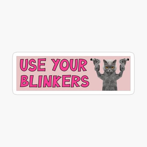 Bumper Stickers Aesthetic, Bumper Sticker Aesthetic, Bumper Stickers Funny, Cat Bumper Stickers, Funny Car Bumper Stickers, Funny Cat Meme, Sticker Inspo, Funny Bumper Stickers, Car Organization