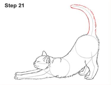 Cat Stretching Drawing, Stretching Drawing, Draw A Cat, Back Drawing, Drawing Instructions, Cat Drawing Tutorial, How To Cat, Cat Stretching, Cat Tat