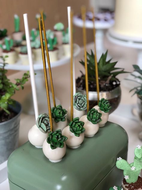 Succulents cakepops . Popcake de suculentas. Succulent Petit Fours, Greenery Cake Pops, Cactus Cakepops, Cactus Cakesicles, Succulent Cake Pops, Succulent Macarons, Succulent Desserts, Cactus Cake Pops, Succulents Cake