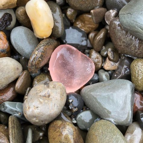 Dan & Sue on Instagram: “Today’s favorites. Last was a gift from a friend. #beachglass #seaglass #lakeeriebeachglass #beachcomber” Sea Glass On Beach, Organized Chaos, Sea Glass Beach, Sea Pottery, Pretty Rocks, Beach Combing, Beach Glass, Colour Schemes, Sea Glass