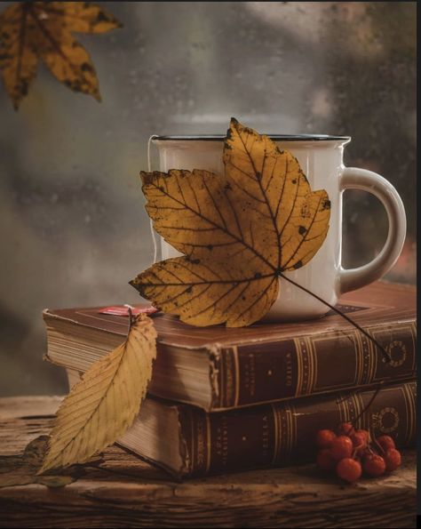 Fall Friends, Hygge Style, Moody Art, Photographers Gallery, Still Life Photos, Autumn Scenes, Art Theme, Picture Logo, Autumn Beauty