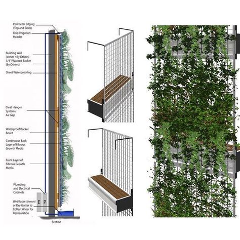 Vertical Architecture, Green Wall Plants, Vertical Garden Design, Green Facade, Facade Architecture Design, Vertical Garden Wall, Alexandria Egypt, Architecture Design Sketch, Green Architecture