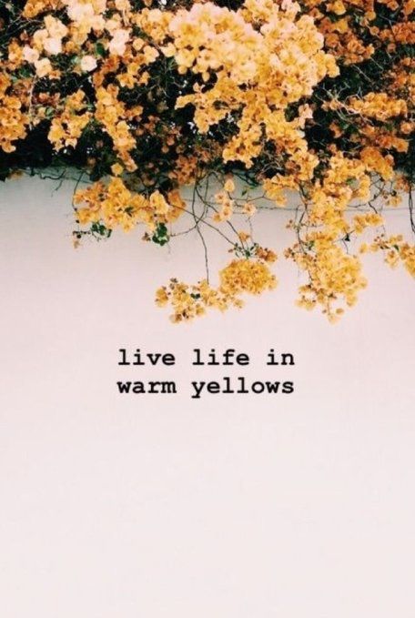 Twitter , aesthetic , yellow , words , quotes , yellow roses , outdoor Flower Captions For Instagram, Quotes Yellow, Nature Quotes Beautiful, Captions For Guys, Lit Captions, Instagram Post Captions, One Word Caption, Twitter Aesthetic, Yellow Quotes