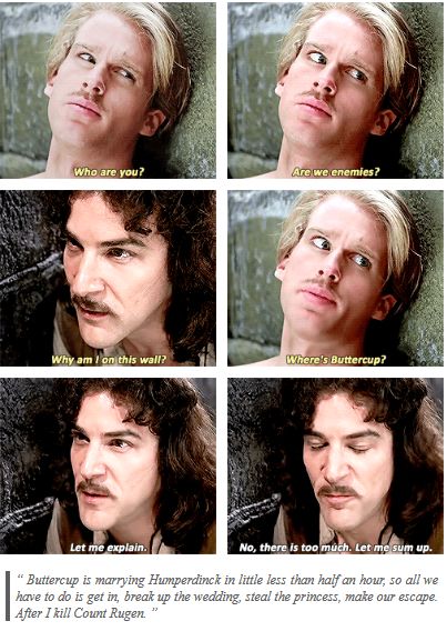 Princess Bride Behind The Scenes, Princess Bride Promposal, The Princess Bride Tumblr, The Princess Bride Funny, The Princess Bride Edits, Princess Bride Edits, Princess Bride Fanart, The Princess Bride Aesthetic, Princess Bride Aesthetic