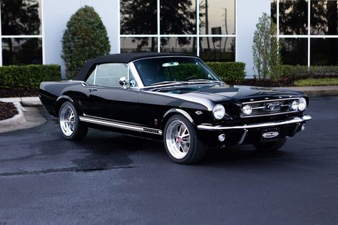 1968 Mustang Convertible, 1966 Mustang Gt, Mustang 1969 Black, Mustang Gt Convertible, 1960 Mustang Convertible, 1965 Mustang Convertible Black, Black Mustang, 1966 Mustang, Vintage Mustang