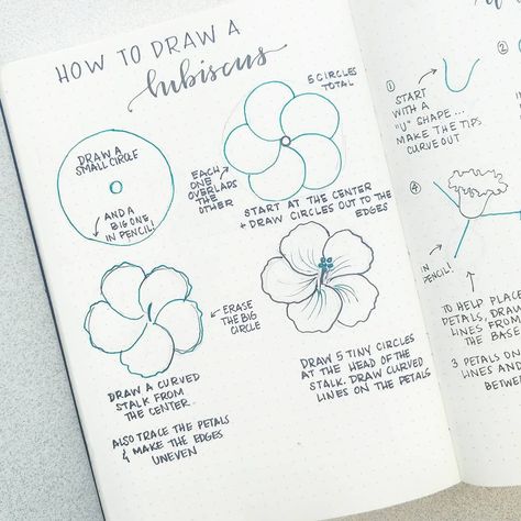 Hur Man Ritar Blommor, How To Draw Flowers, Arte Doodle, Botanical Line Drawing, Draw Flowers, Flower Drawing Tutorials, Drawing Flowers, Plant Drawing, Bullet Journal Doodles