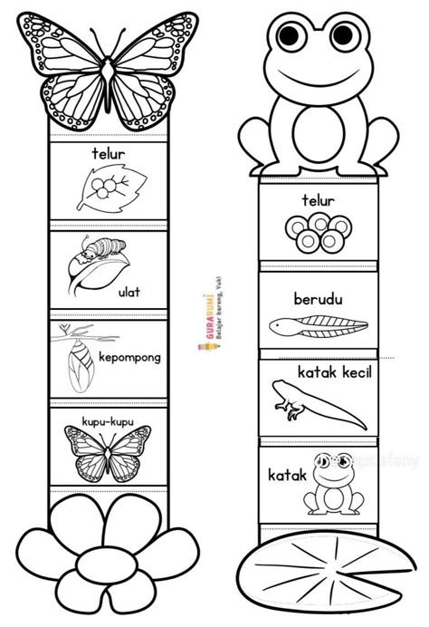 Human Body Science Projects, Lap Book Templates, Media Pembelajaran, Butterflies Activities, Classroom Pictures, School Study Ideas, Powerpoint Slide Designs, Drawing Lessons For Kids, Kids Worksheets Preschool