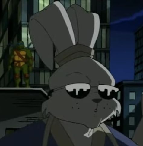 Usagi Miyamoto, Miyamoto Usagi, Tmnt 2003, Usagi Yojimbo