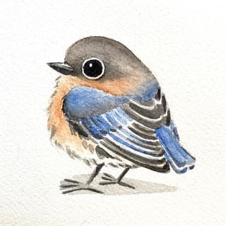 Heike Kuzminski (@heikekuzminski) • Instagram photos and videos Drawing A Bird, Bird Artists, Bird Watercolor Paintings, Bird Artwork, August 27, Instagram Hashtags, Bird Drawings, Watercolor Bird, Mini Paintings