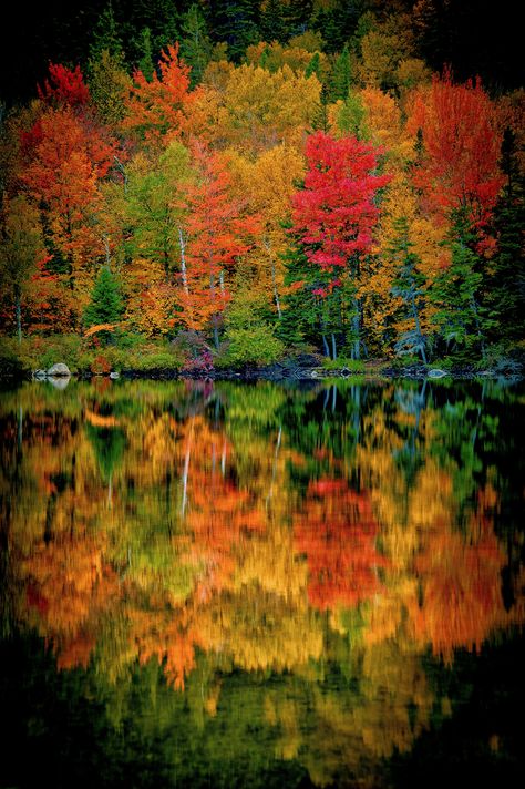 Echo Lake Echo Lake, Reflection Photos, Fall Morning, Beauty Mirror, Autumn Tree, Mirror Reflection, Morning Sunrise, Autumn Morning, God Art