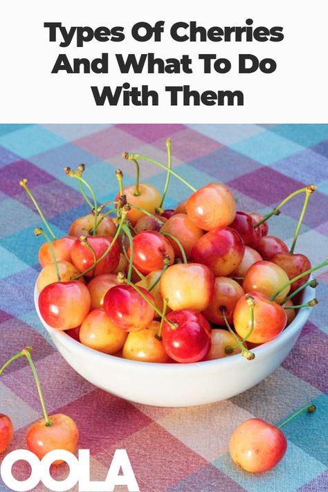 Different Types Of Cherries, What To Do With Cherries, Homestead Food, Cherry Types, Types Of Cherries, Fruit Plus, Fruit Infused Water Recipes, Healthy Recipes For Diabetics, Infused Water Recipes