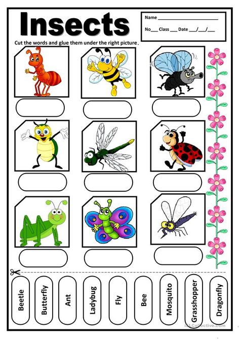 Insects For Kids, Insects Kindergarten, Verbo To Be, Insects Preschool, Bugs Preschool, Insect Activities, Kindergarten Worksheets Free Printables, Animal Worksheets, Free Kindergarten Worksheets