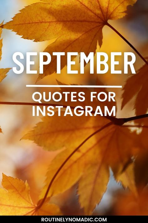 Fall leaves and text that says September quotes for Instagram September Quotes Aesthetic, September Welcome, Happy September Quotes, Welcome September Quotes Inspirational, Welcome September Quotes, September Quotes Funny, September Aesthetic Quotes, Quotes For September Month, September Quotes Inspirational